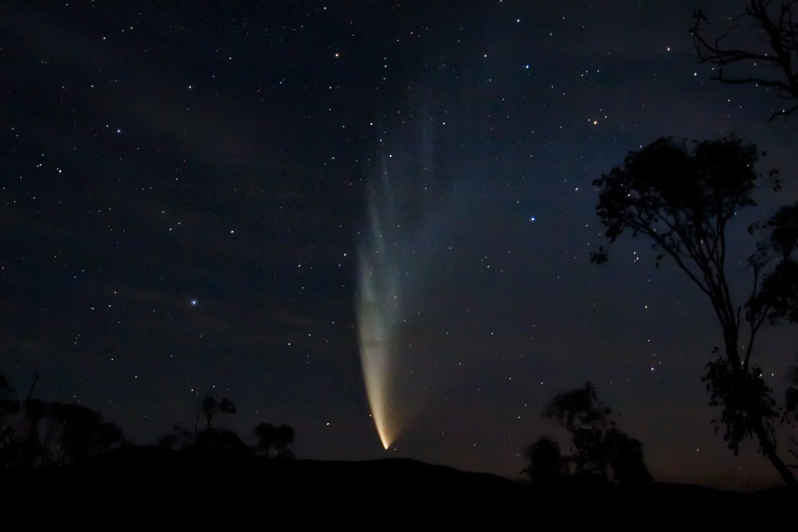 Cometa McNaught